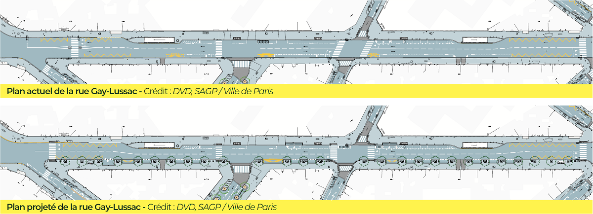 Le plan de la rue Gay-Lussac avant et après aménagement, avec les emplacements des arbres sur le plan "après"
