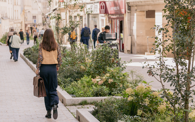 Une personne se promène dans la rue Mouffetard, végétalisée et piétonnisée.