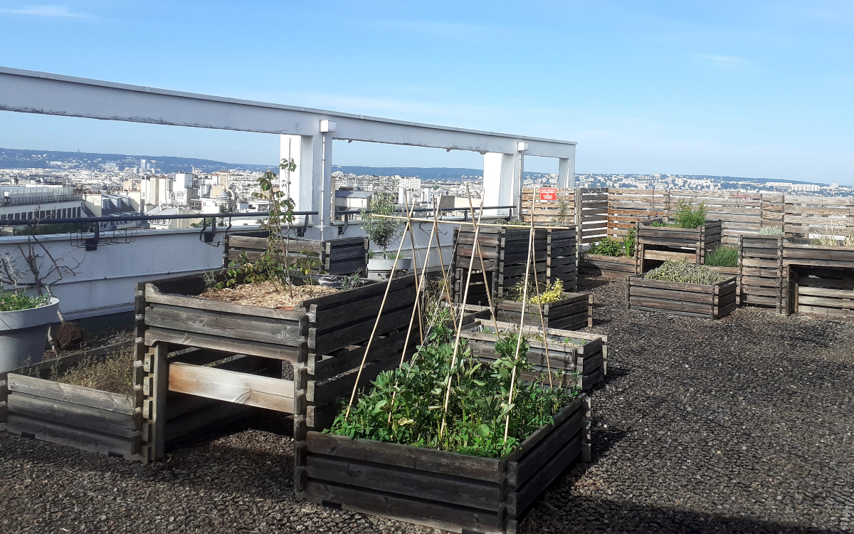 Un toit terrasse, projet pariculteurs dans le 16e.