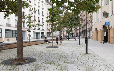 rue avec des arbres et des plantations