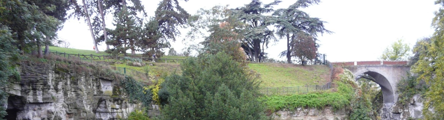 biodiv