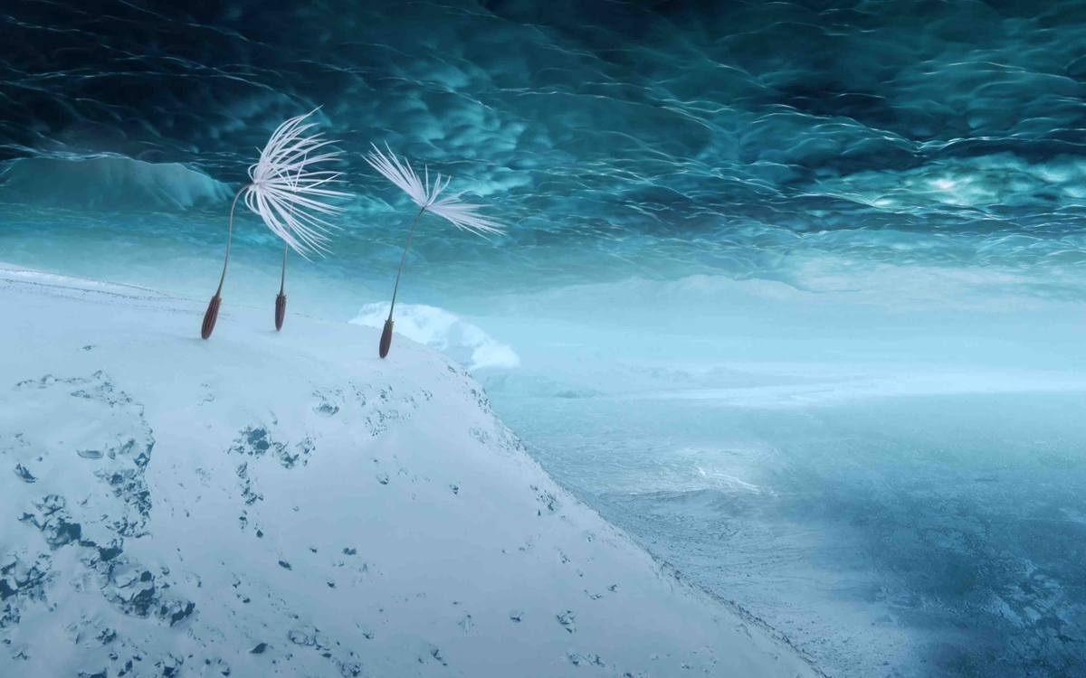 Mon Premier Festival 2025 - Planètes de Momoko Seto