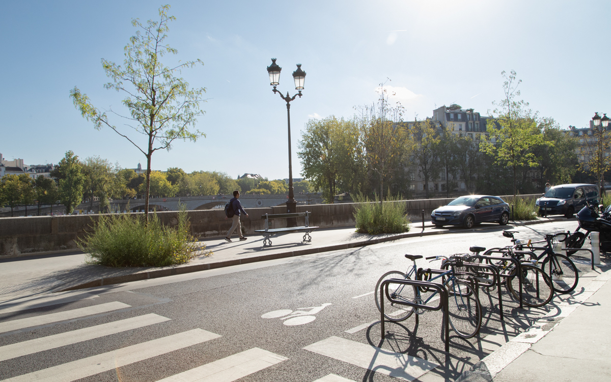 Le quai aux Fleurs et ses arbres.