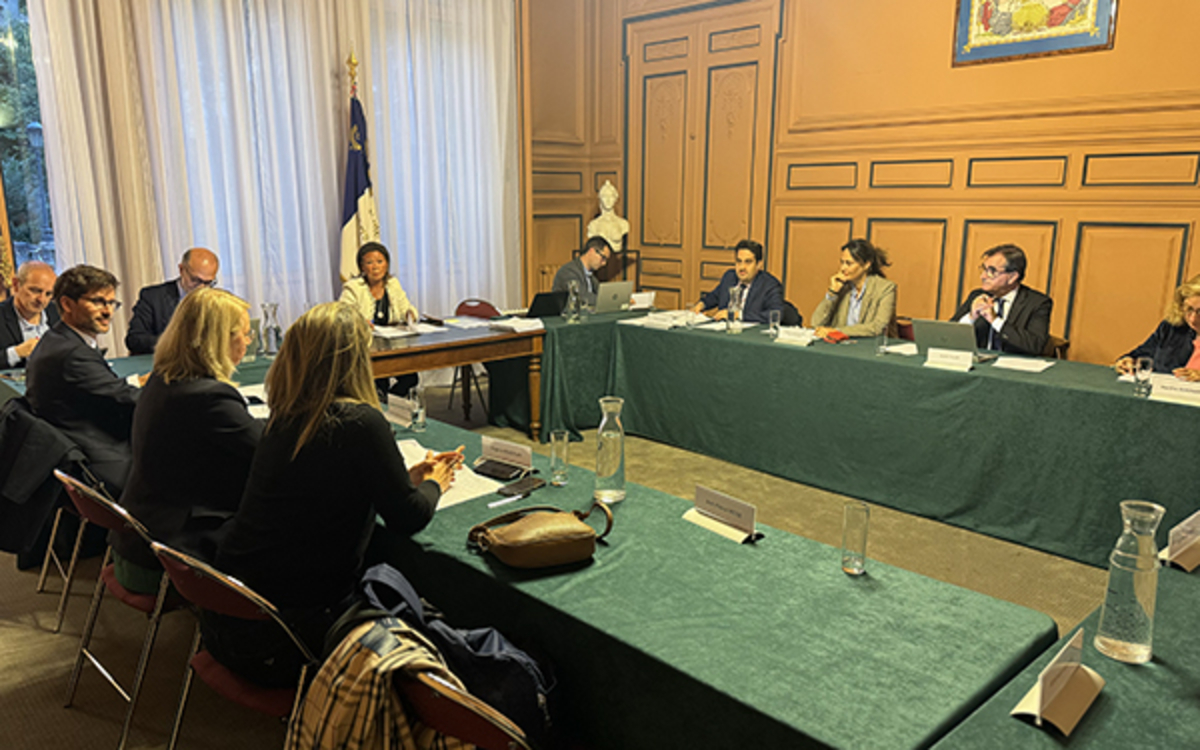 Séance du conseil d'arrondissement 