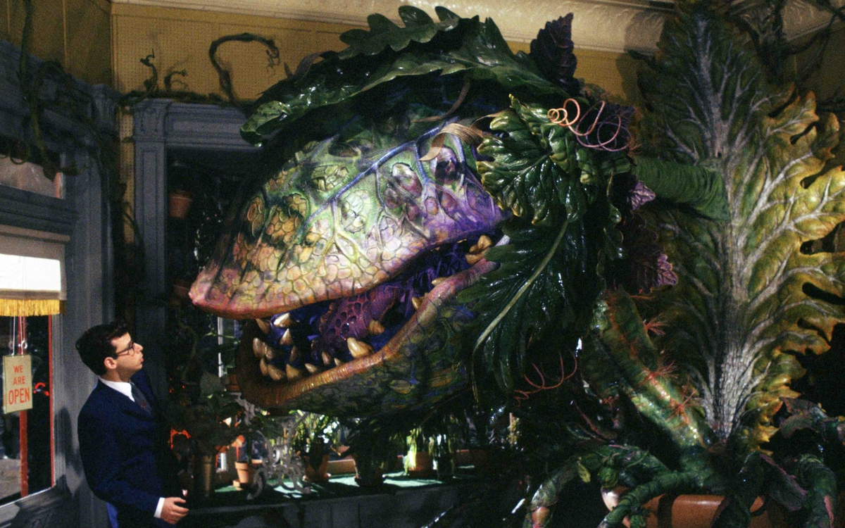 Mon Premier Festival 2025 - La petite boutique des horreurs de Frank Oz