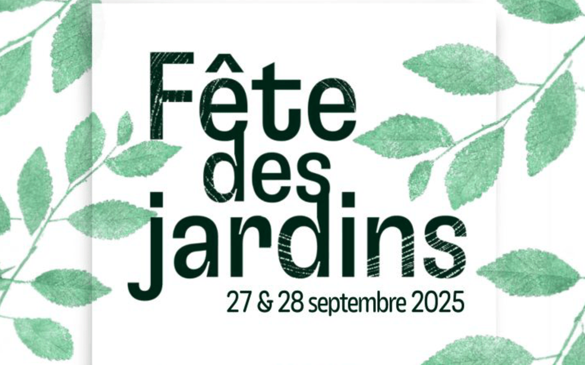illustration avec feuilles d'arbre