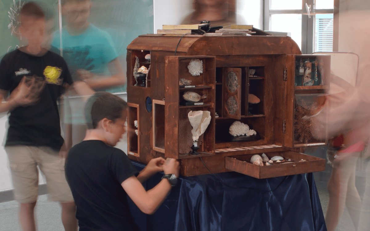 Elèves découvrant un cabinet de curiosités dans leur classe