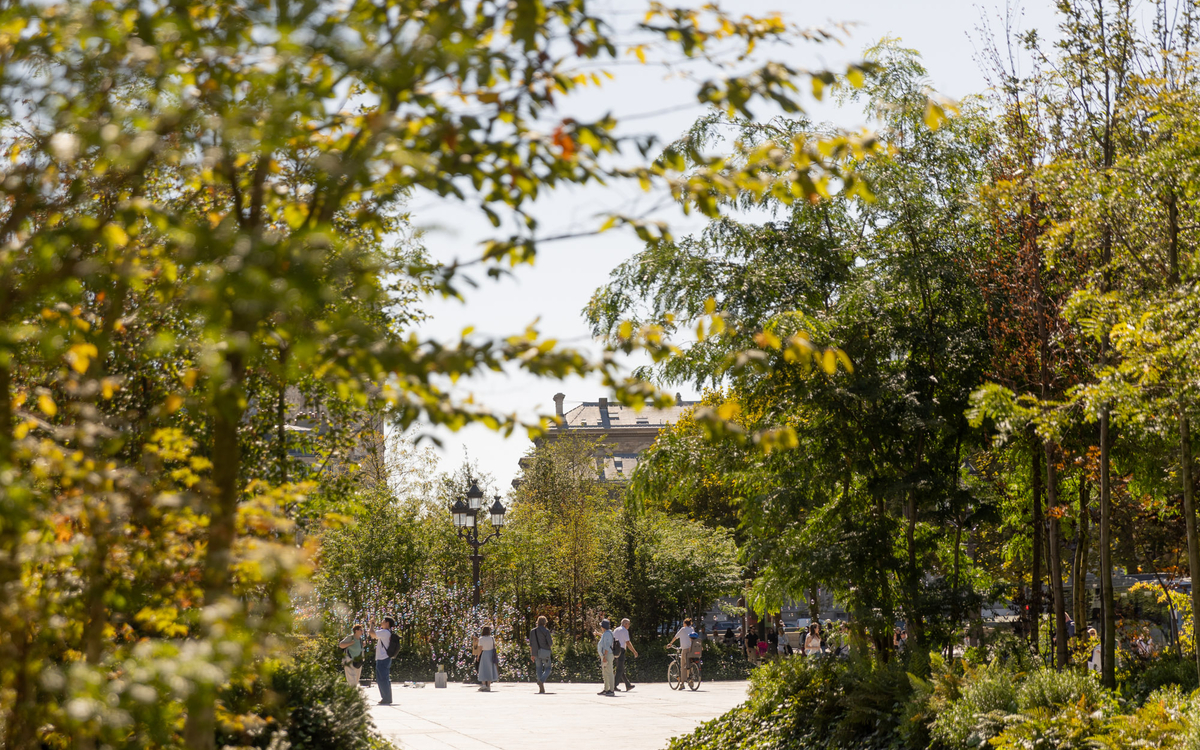 Des promeneurs dans la forêt urbaine de la place de l'Hôtel de Ville.