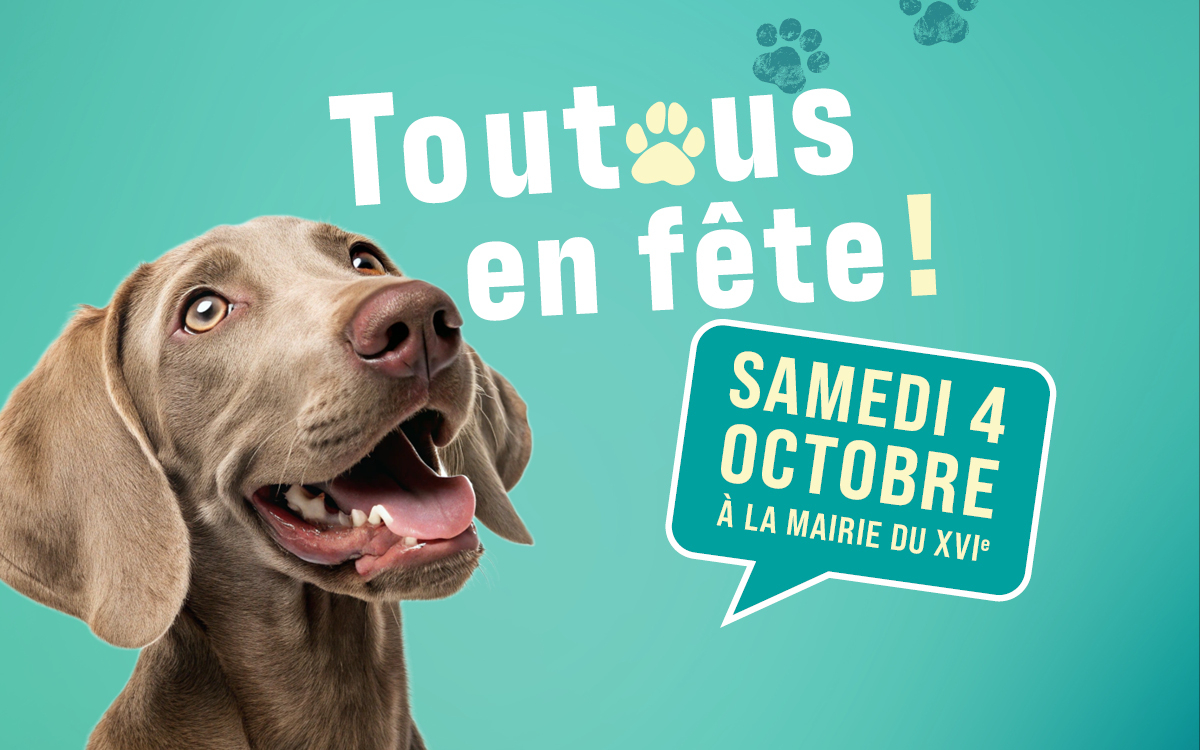 visuel toutous en fête 