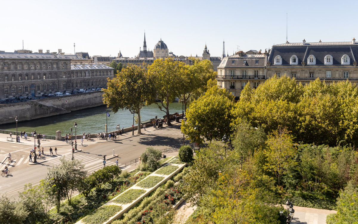 La forêt urbaine de la place de l'Hôtel de Ville et la Seine.