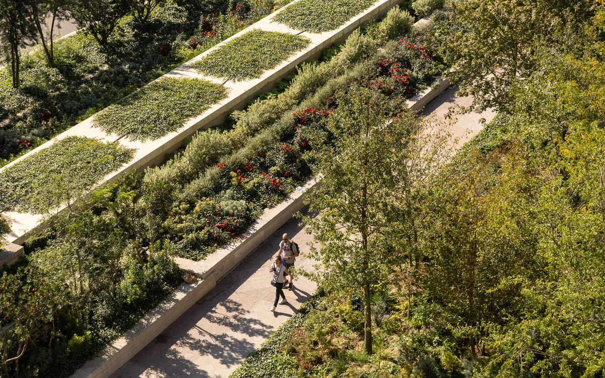 Vue plongeante sur la forêt urbaine de la place de l'Hôtel de Ville.