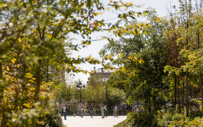 Des promeneurs dans la forêt urbaine de la place de l'Hôtel de Ville.