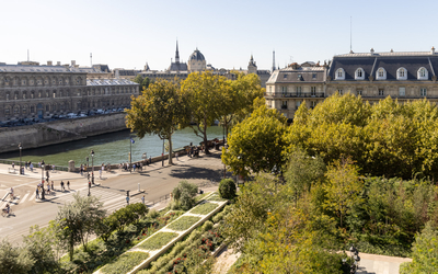 La forêt urbaine de la place de l'Hôtel de Ville et la Seine.