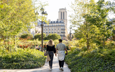 Promeneurs dans la foret urbaine sur la place de l'Hôtel de Ville.