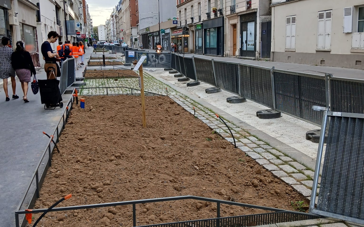 Une future bande plantée dans une rue parisienne en travaux