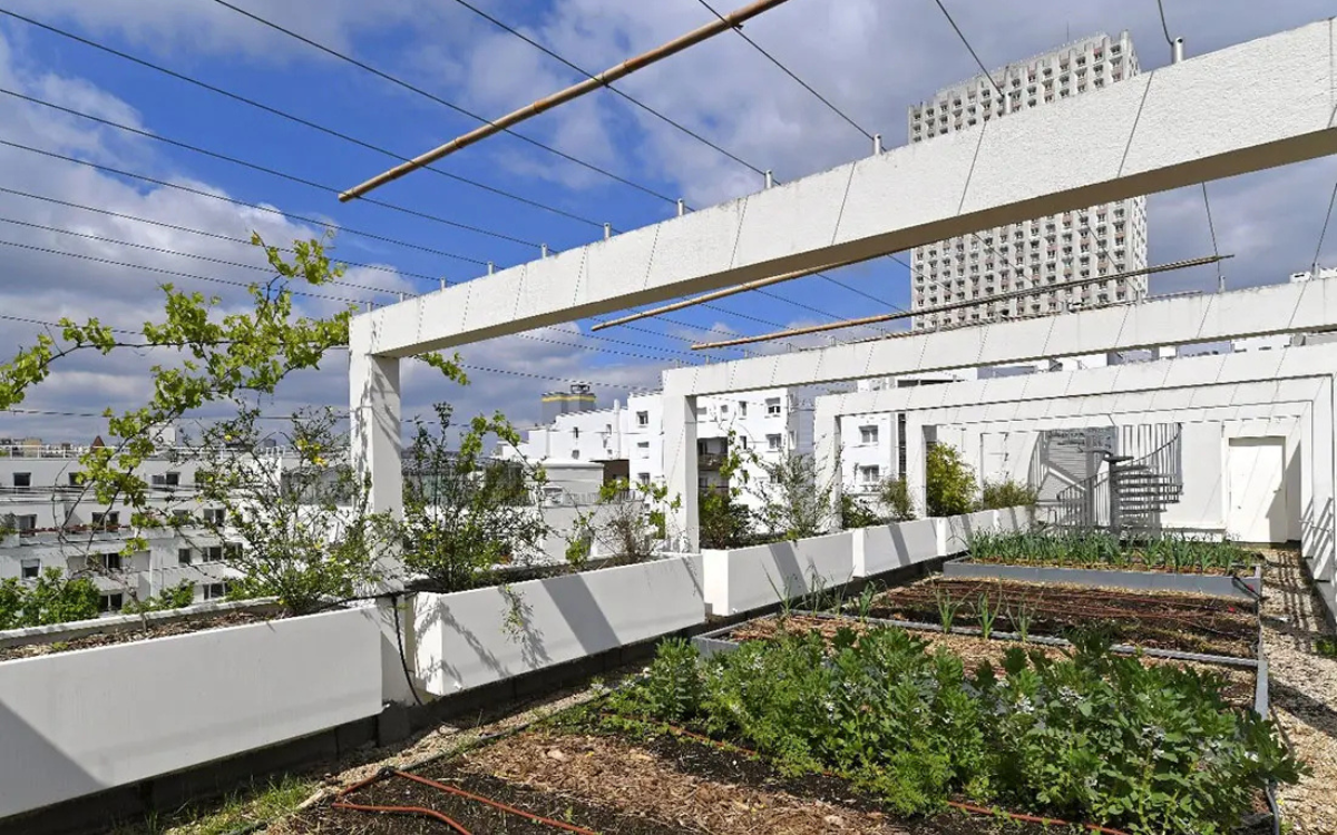 Photo de la ferme urbaine de la salamandre