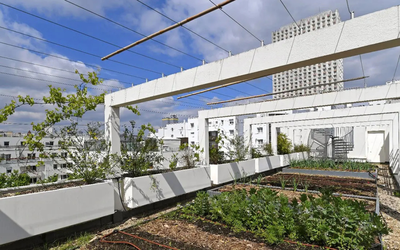 Photo de la ferme urbaine de la salamandre