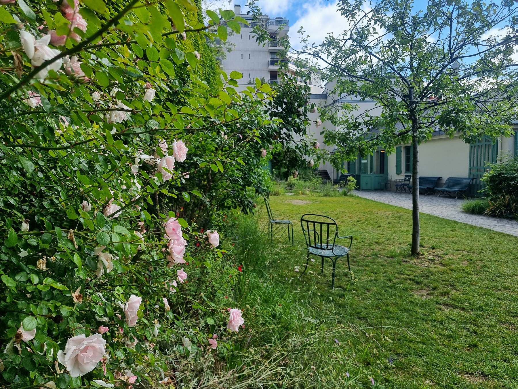 Arbres dans le jardin