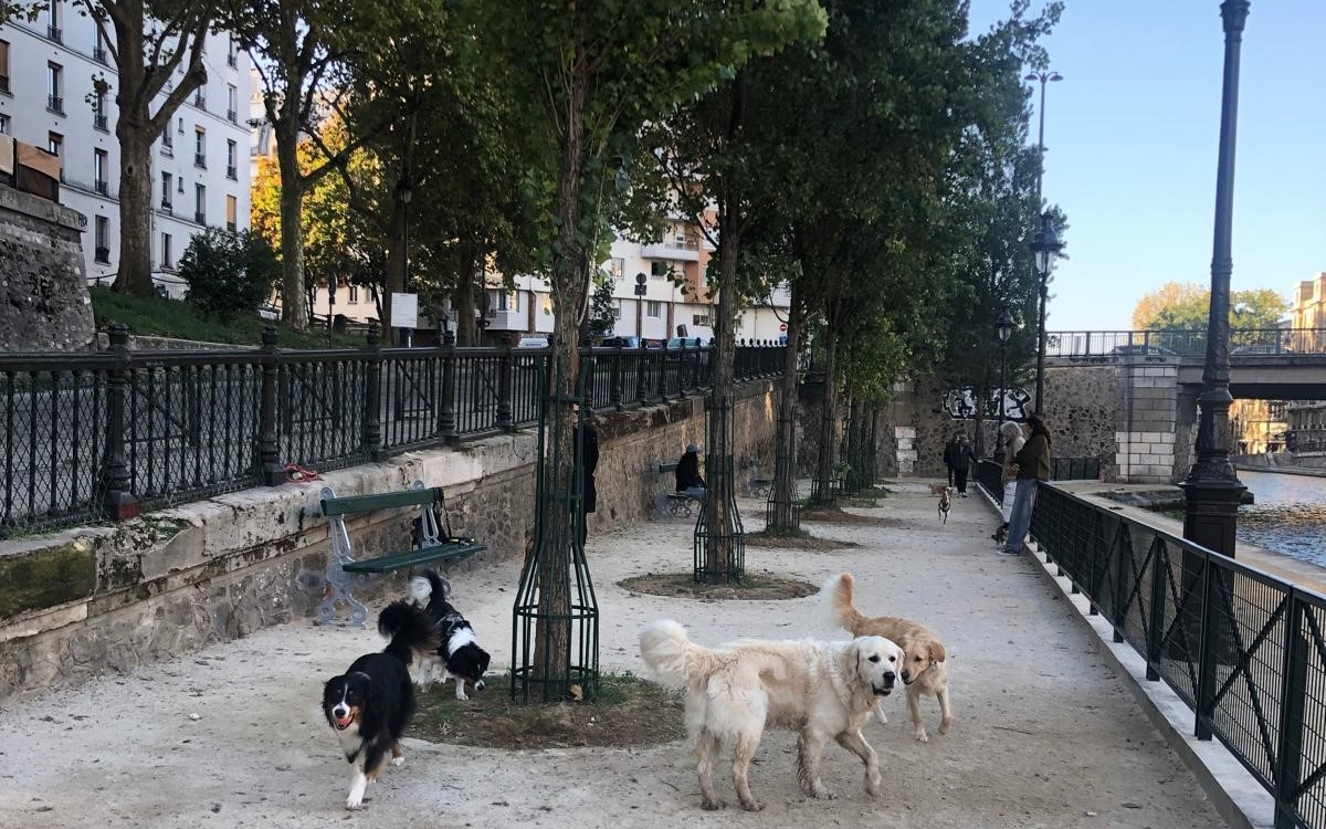 caniparc avec chiens