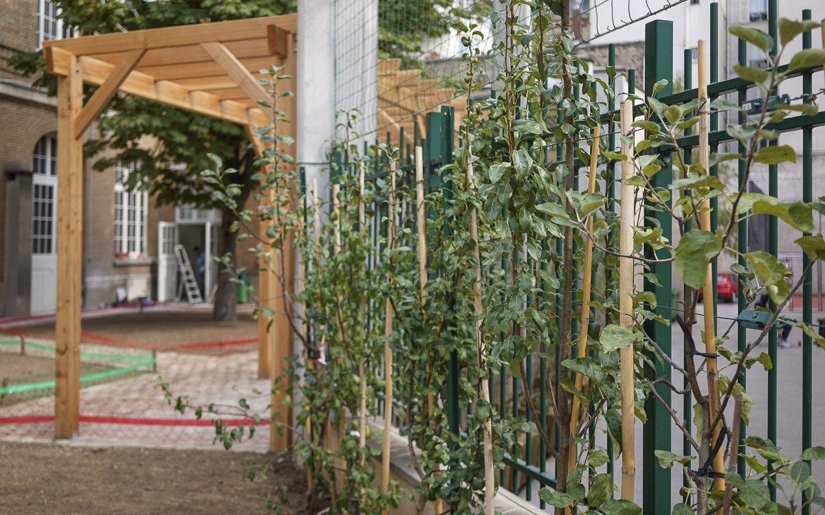 cour d'école aménagée avec plantations de plantes grimpant le long des grilles au premier plan, pergola au second plan, bâtiment flou au fond