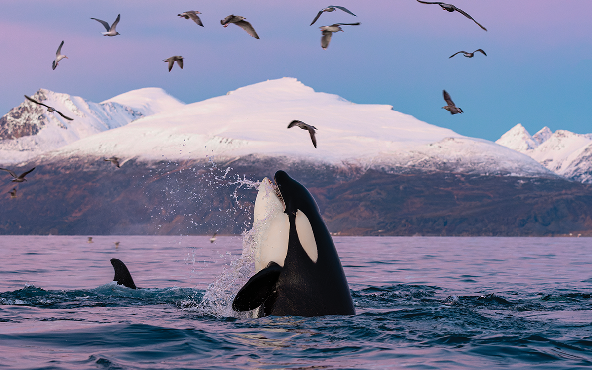 Le Déclic de la Cité