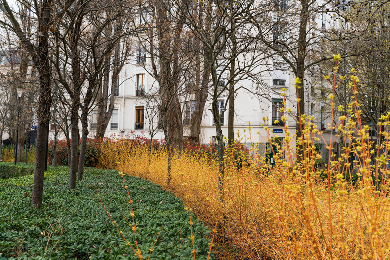 Photo du Jardin Casque d'Or