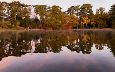 le bois de Boulogne sous la lumière automnale. 
