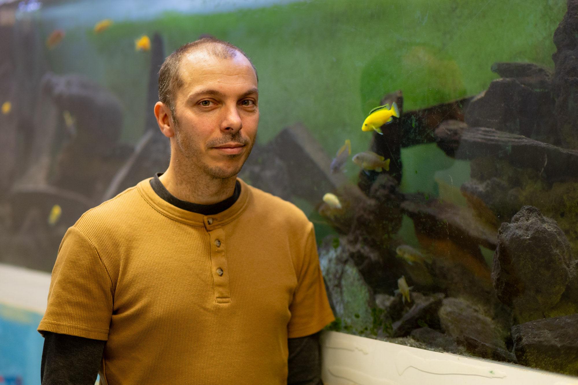 Un homme portant un t-shirt henley jaune moutarde à manches courtes superposé sur un t-shirt noir à manches longues se tient devant un grand aquarium. L'arrière-plan montre un décor aquatique avec des formations rocheuses, de la végétation verte et des poissons tropicaux jaunes vifs visibles près des rochers. L'éclairage met en valeur le sujet au premier plan tandis que l'aquarium crée un fond naturel coloré.
