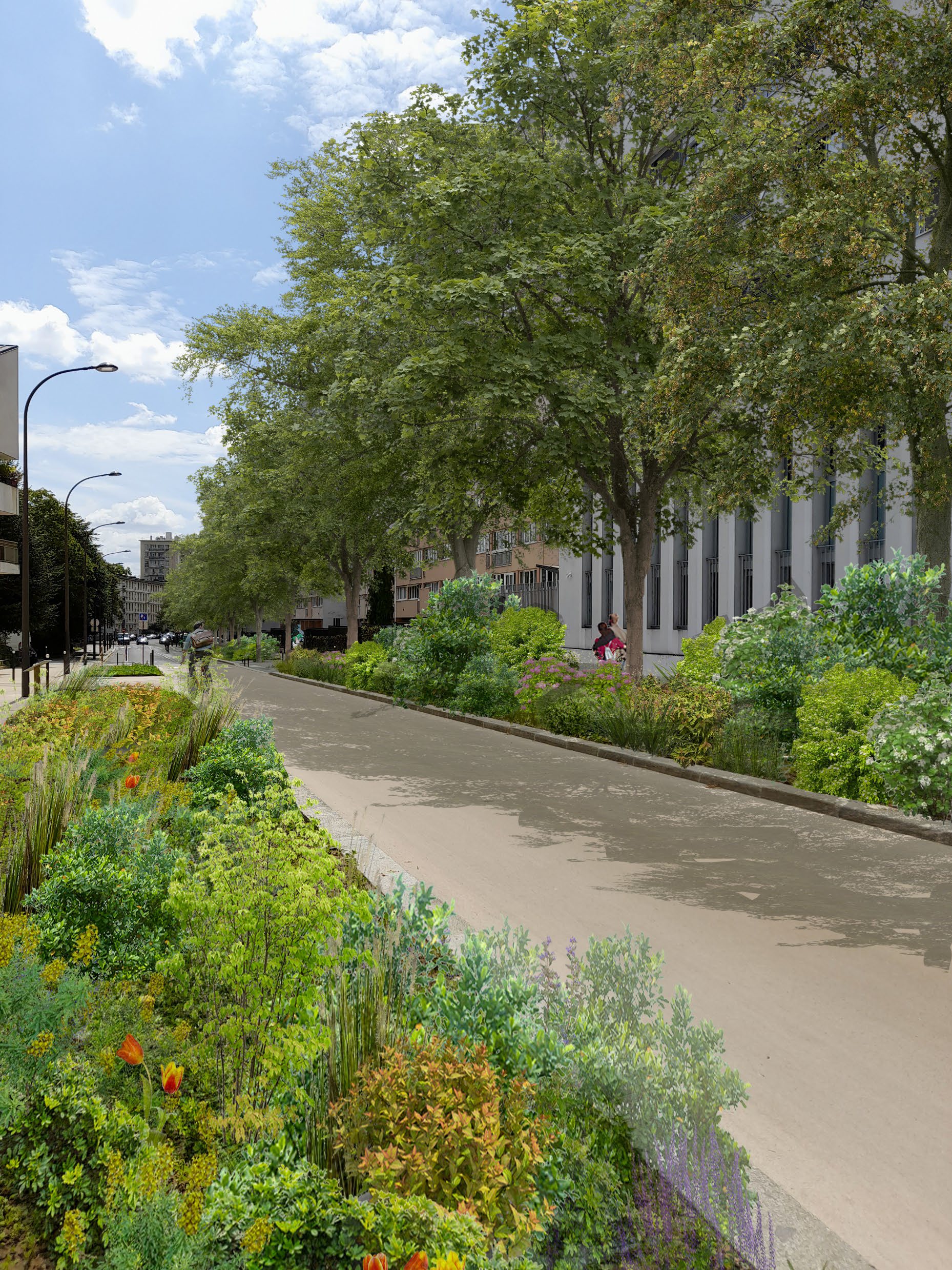 Photo de la rue Maryse Hilsz après les plantations