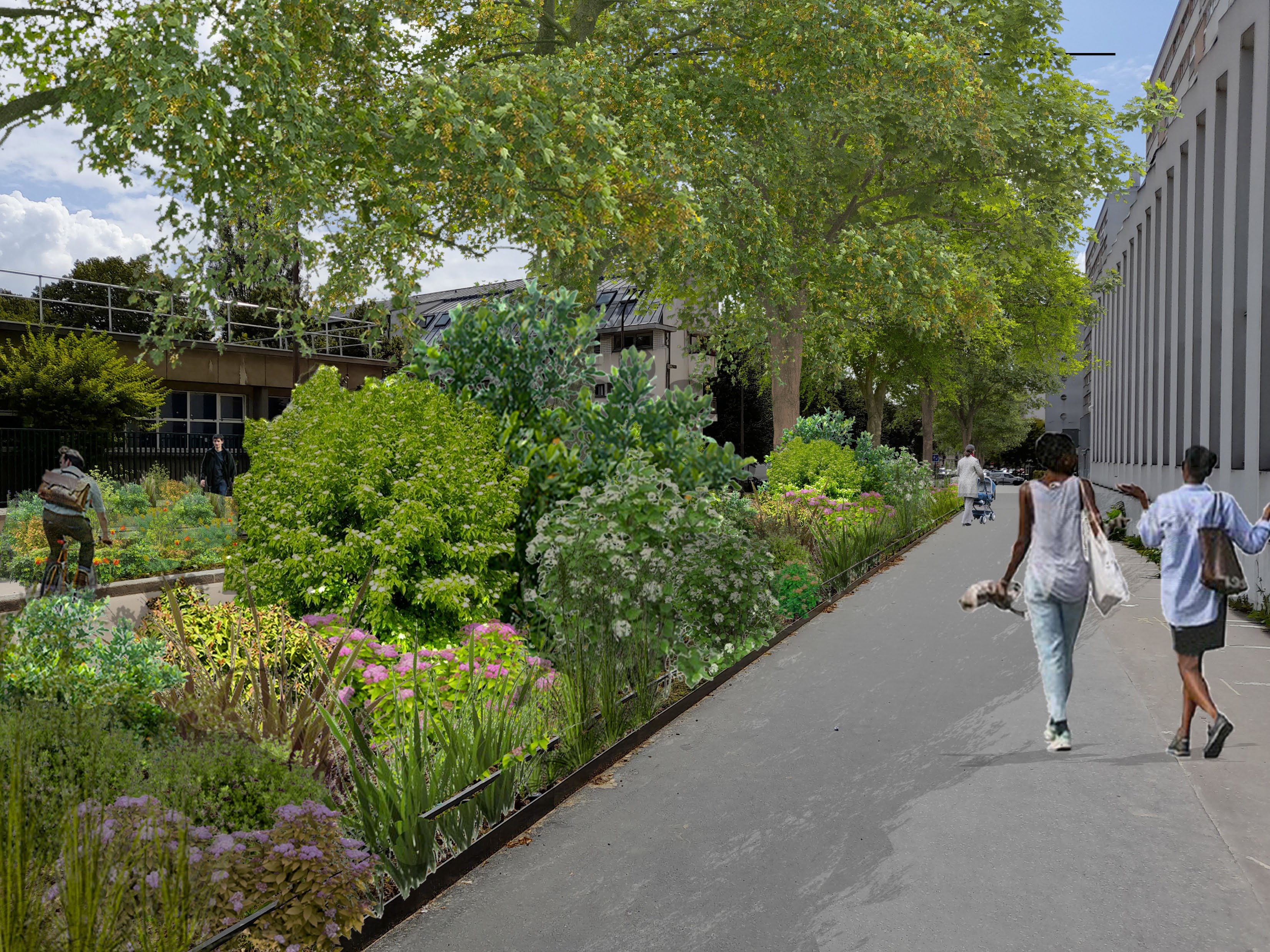 Photo de la rue Maryse Hilsz avant les plantations