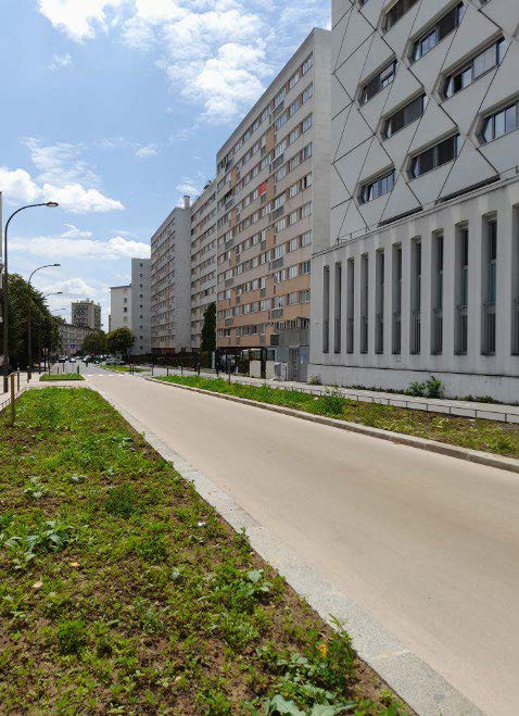 Photo de la rue Maryse Hilsz avant les plantations