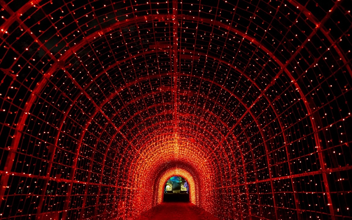 Parcours Lumineux Lumières en Seine