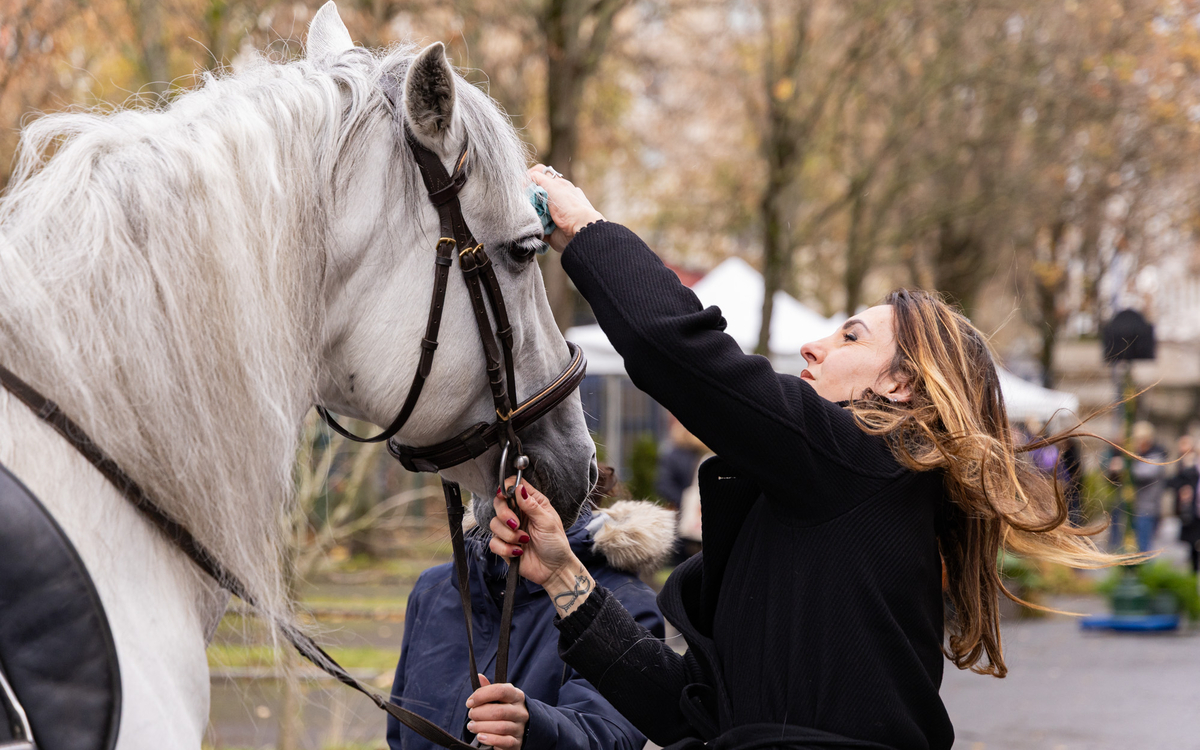 Une personne caressant la crinière d'un cheval blanc du cirque Gruss.