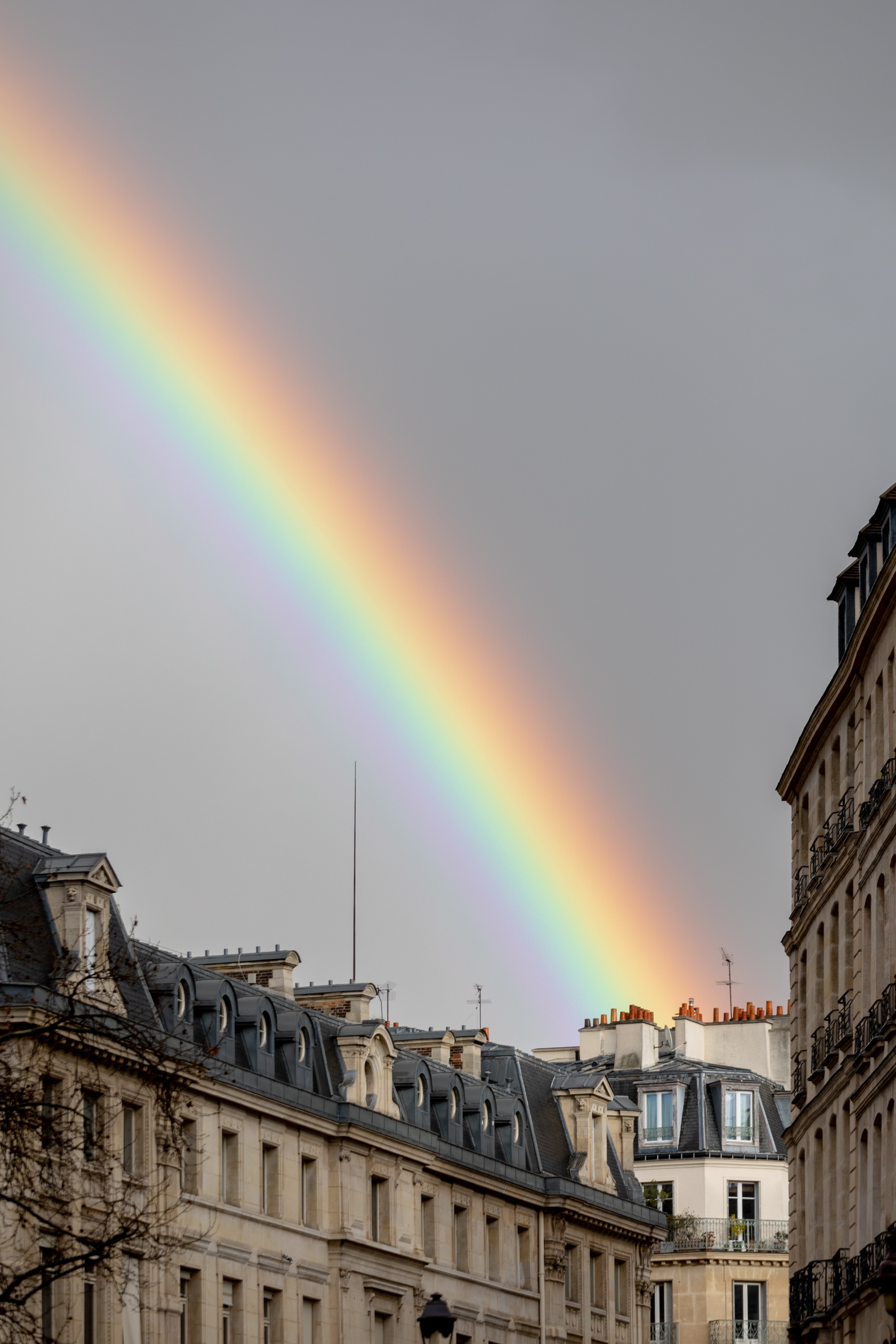 Fugue en sept couleurs.