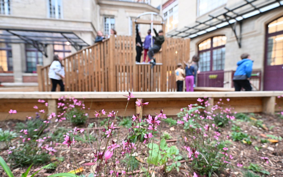La cour oasis de l’école élémentaire Turgot.