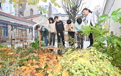 Six élèves dans la cour oasis de l’école élémentaire Turgot.