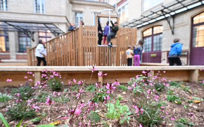 La cour oasis de l’école élémentaire Turgot.