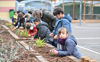 Des enfants s'occupent de plantes dans la cour Oasis de l'école Perret / Choisy (13e).