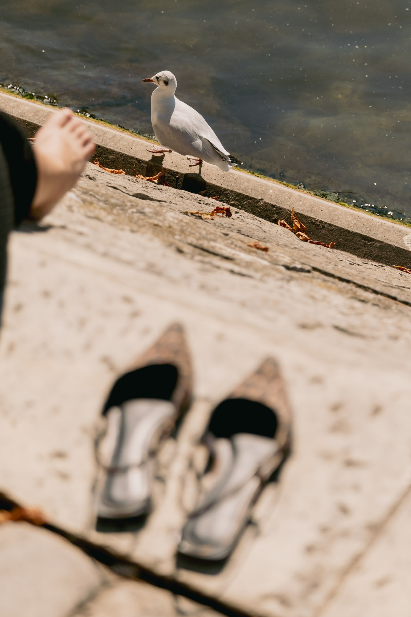 La pause d’une voyageuse.