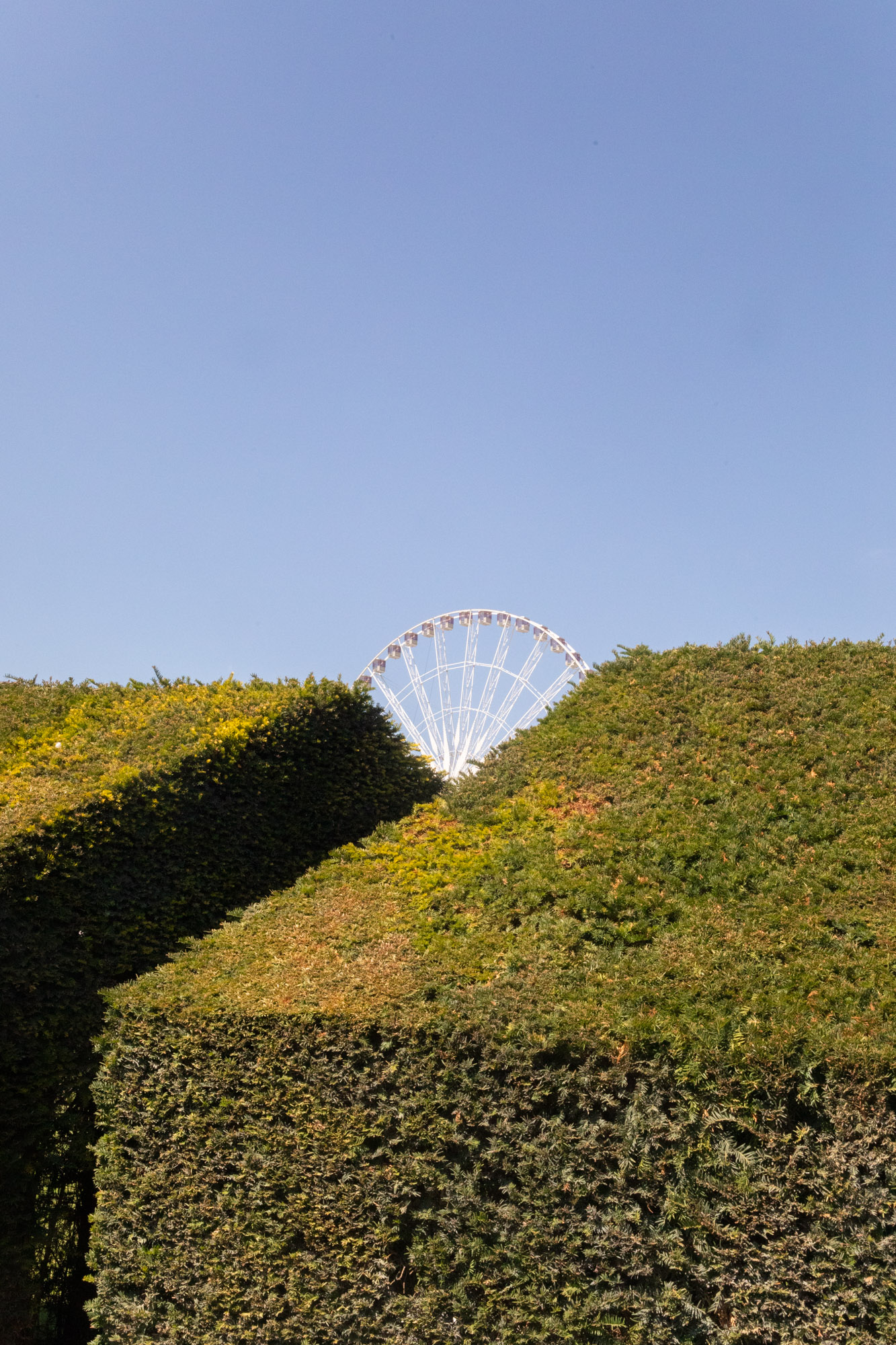 Grande haie, petite roue (jardin des Tuileries).