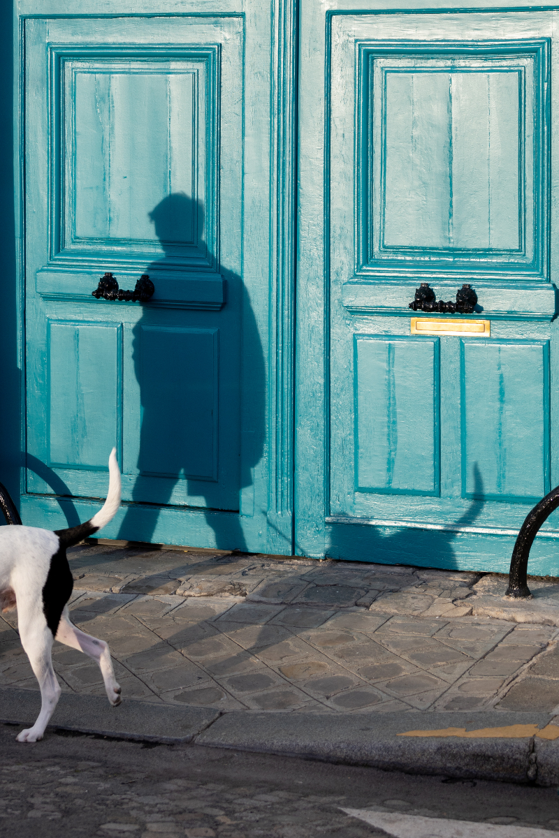 « Un ton seul n’est qu’une
couleur, deux tons c’est un accord, c’est la vie. » (Henri Matisse, dans
l’ouvrage « Écrits et propos sur l’art »)