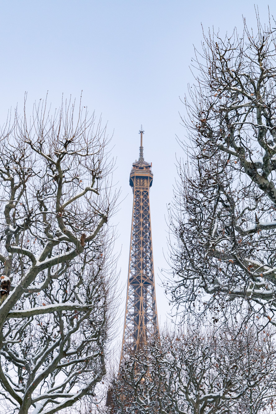 La tour Eiffel comme figée dans la glace.
