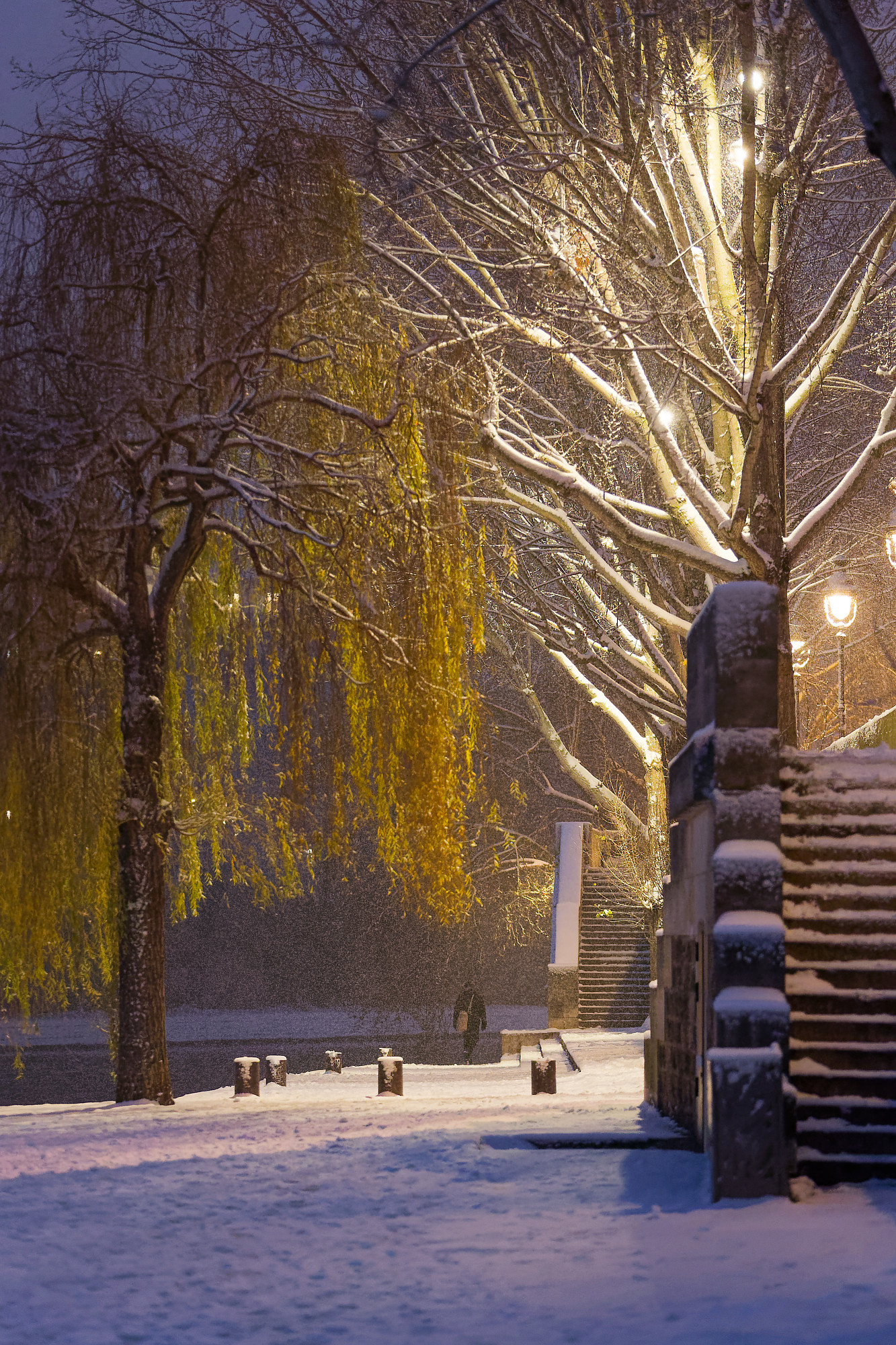 La poésie des berges enneigées…