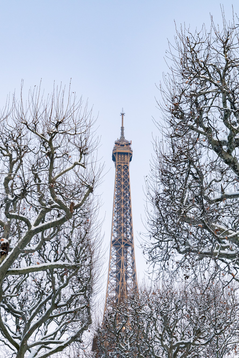 La tour Eiffel comme figée dans la glace.