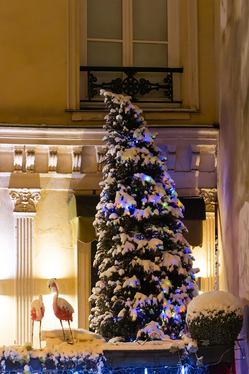 Rose oubliée, blanc retrouvé.