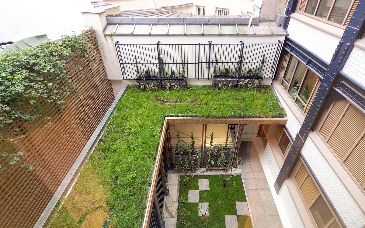 Végétalisation de la crèche Saint-Roch 