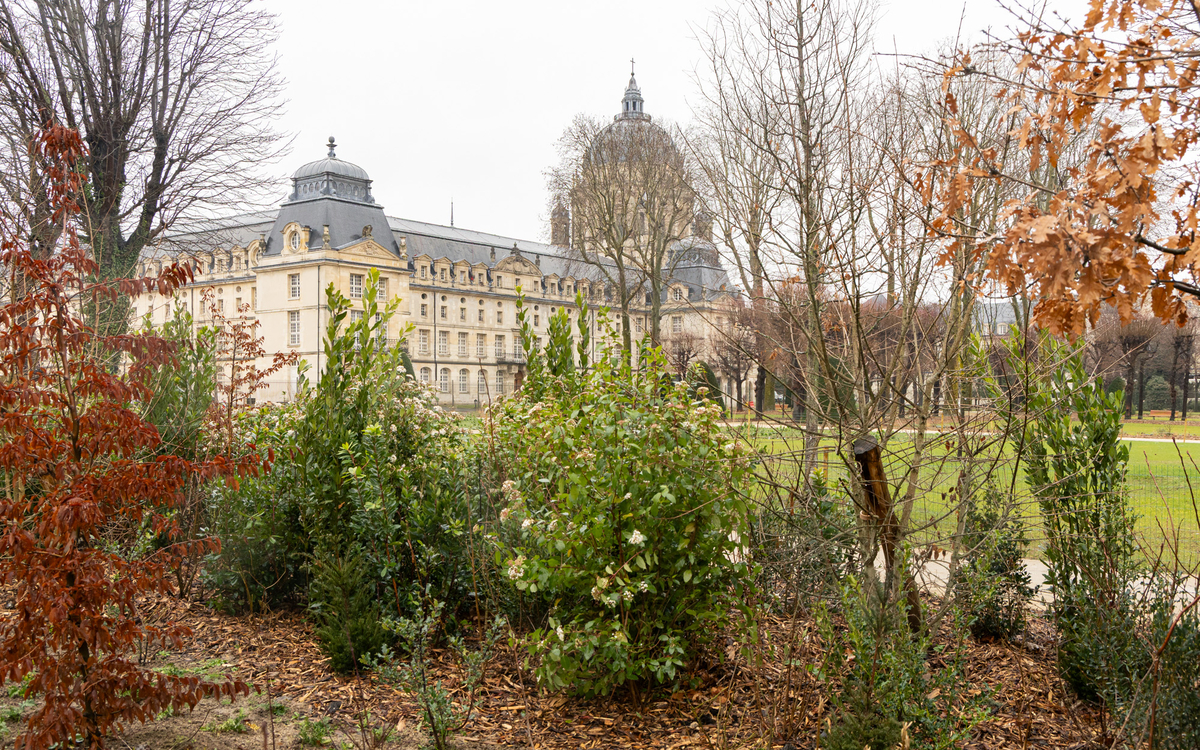 Les Jardins du Val de Grâce ouvrent au public, le 27 janvier 2026.