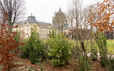 Les Jardins du Val de Grâce ouvrent au public, le 27 janvier 2026.