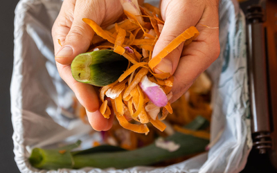 déchets alimentaires