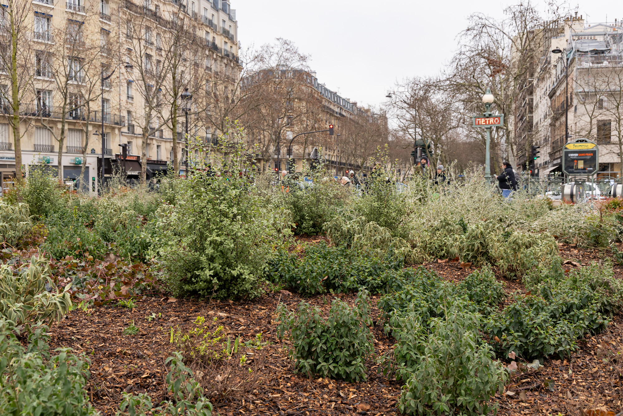 Un espace végétalisé 
